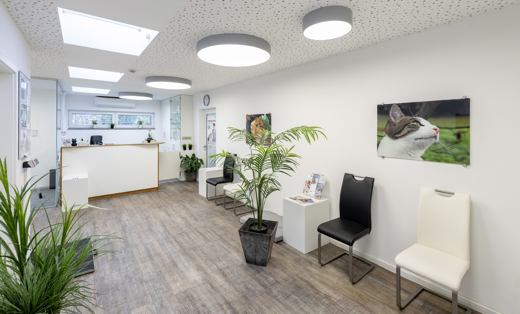 Tierarztpraxis Dr. Milz